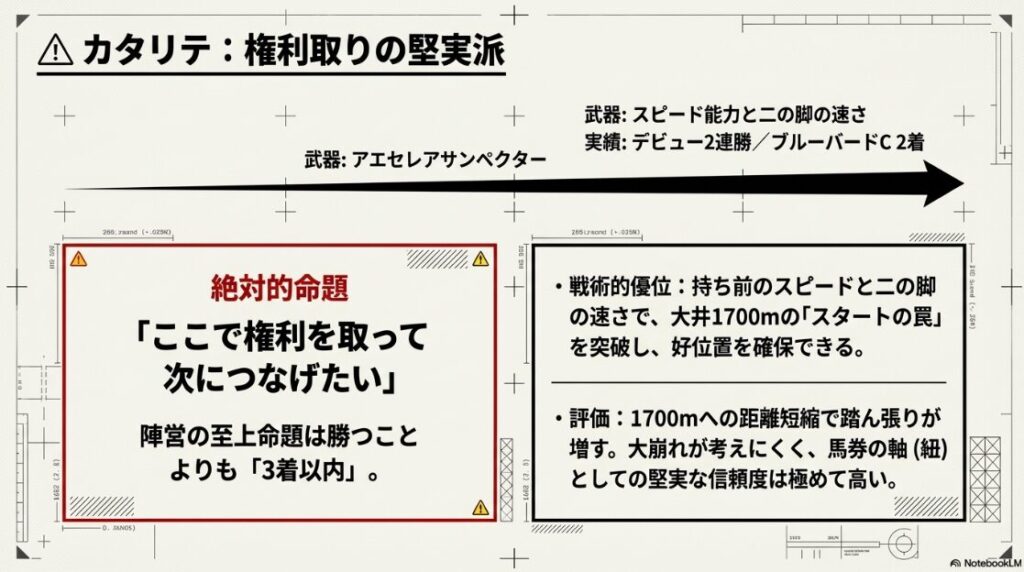 カタリテ
分析データ