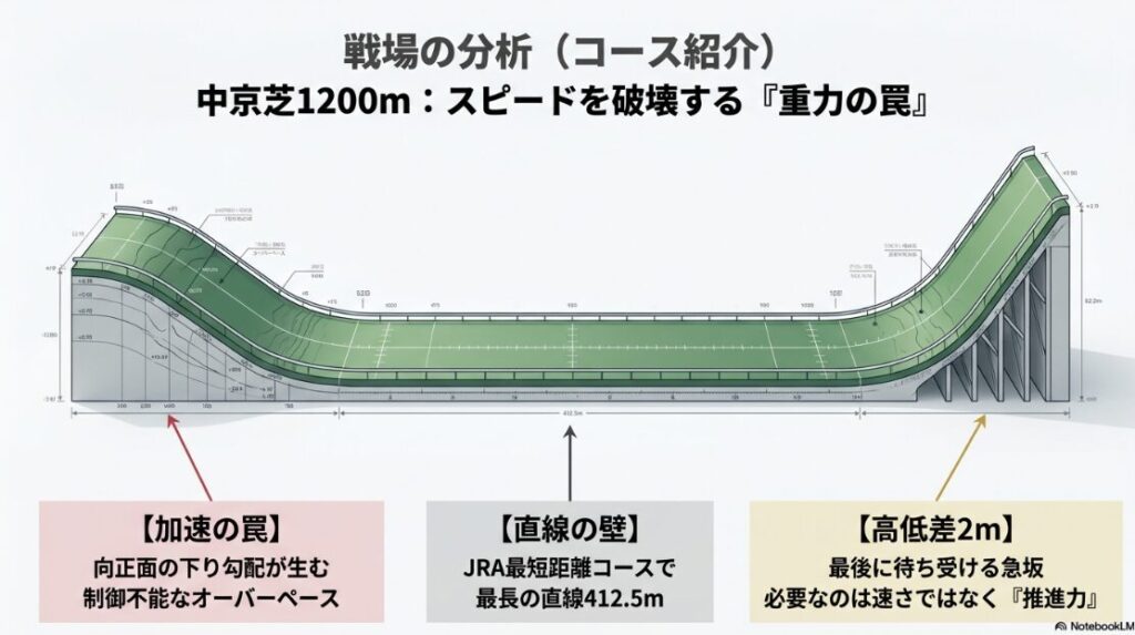 中京芝1200mコースの物理的特徴を解説する図解。スタート後の制御不能な下り坂、JRAスプリントコース最長の412.5mの直線、そして最後に待ち受ける高低差2mの急坂をアイコンで強調。スピードではなく、重力に逆らう「推進力(パワー)」が必須であることを示している