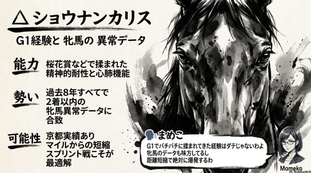 △ ショウナンカリス : 異常データに 選ばれた 姫君 能力: G1の 猛火を 潜り抜けた 圧倒人な 精神 剛性 勢い: 3年 連続 牝馬Vの 統計的 恩恵を 背負う 可能性: 淀の 坂への 適合性は 重賞2着が 証明済み 🗣️ まめこ 「牝馬の データも 味方している 距離 短縮で 爆発するわ」