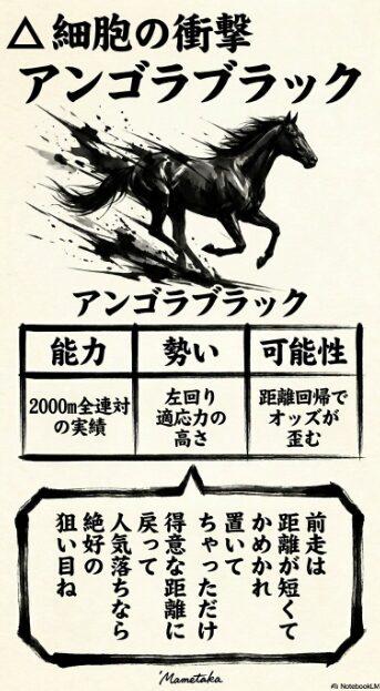 2000m 全連対の 実績を 持ち 距離回帰で オッズの 歪みを 突く 牝馬 アンゴラブラック 鋭い 視線を 送る 競走馬の 肖像