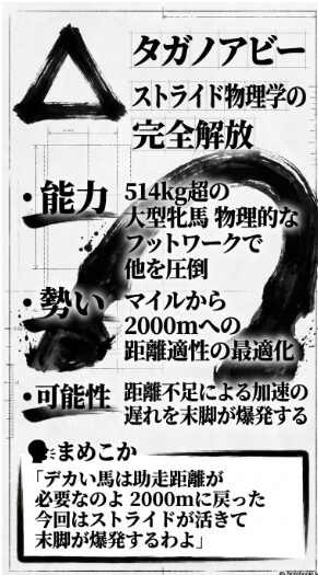 （△タガノアビー）： 細胞の衝撃 タガノアビーの 分析。 514kgの 質量 が 生む 圧倒的ストライドと 2000mへの 距離最適化を 指摘