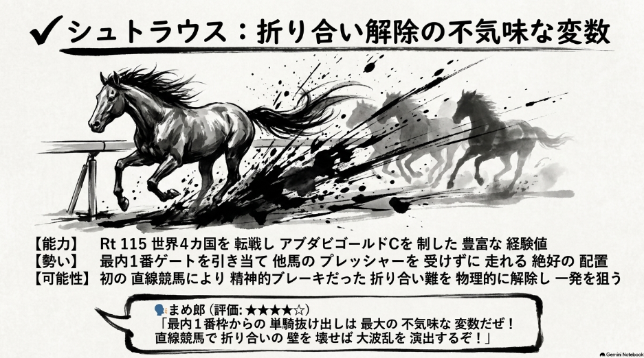 不気味な刺客 シュトラウス 能力レーティング115 最内1番枠からプレッシャーなく折り合いを解除し激走を狙う専門官まめ郎の期待