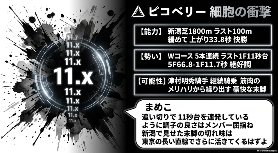 注目馬ピコベリーの仕上がり分析カード 新潟1,800m上がり33.8秒とWコースで5本連続ラスト1F11秒台を連発した調教データを強調する図版