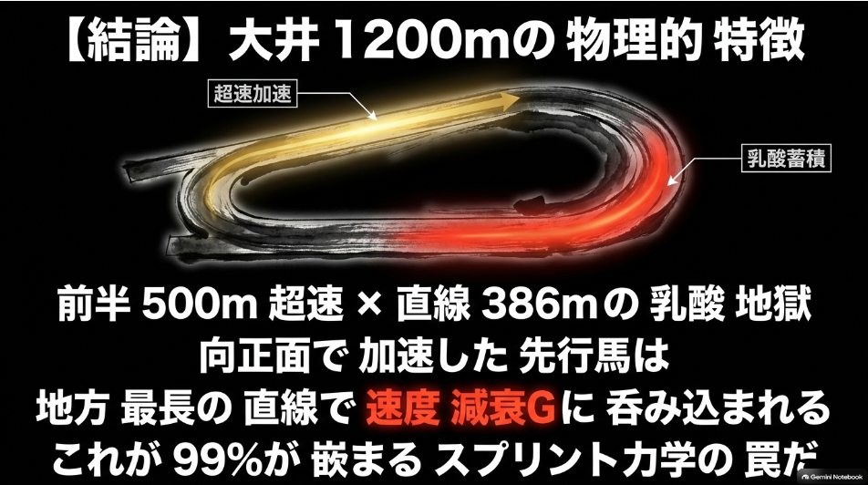 東京盃2026予想スライド2:大井1200mのコース力学。500mのバックストレッチと地方最長386mの直線が生む「乳酸の壁」と前崩れの物理構造